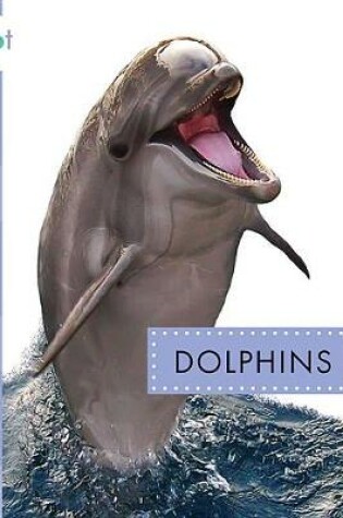 Cover of Dolphins