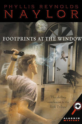 Book cover for Footprints at the Window