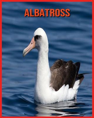 Book cover for Albatross