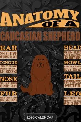 Book cover for Anatomy Of A Caucasian Shepherd