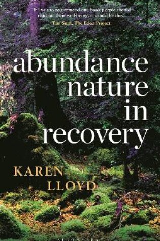 Cover of Abundance