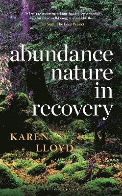 Book cover for Abundance