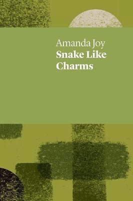 Book cover for Snake Like Charms