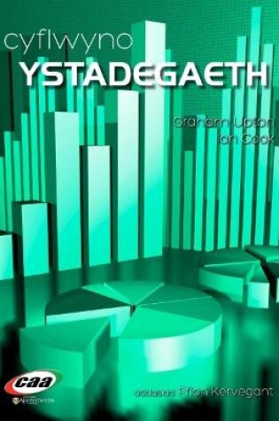 Cover of Cyflwyno Ystadegaeth