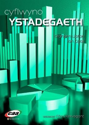 Book cover for Cyflwyno Ystadegaeth