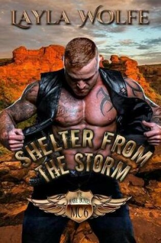 Cover of Shelter From The Storm