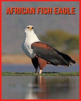 Book cover for African Fish Eagle