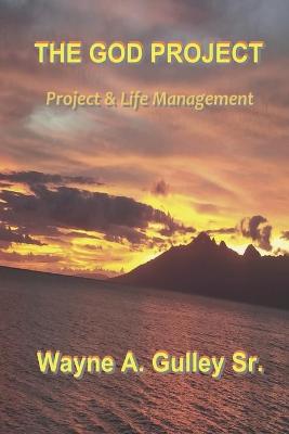 Book cover for The God Project