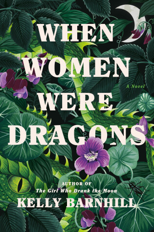 Cover of When Women Were Dragons