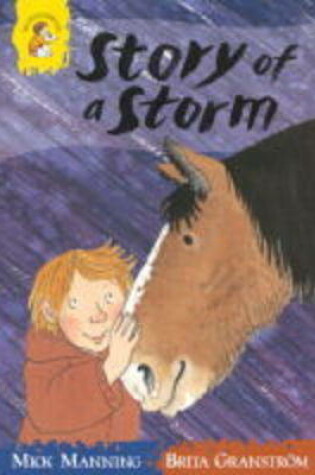 Cover of The Story of a Storm