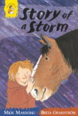 Book cover for The Story of a Storm