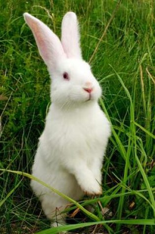 Cover of A Little White Bunny Rabbit in the Grass Journal