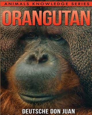 Cover of Orangutan