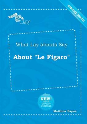 Book cover for What Lay Abouts Say about Le Figaro