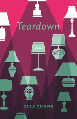 Book cover for Teardown