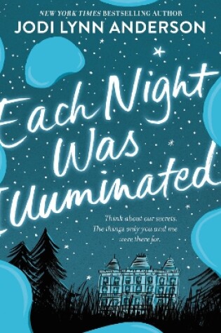 Cover of Each Night Was Illuminated
