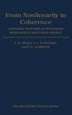 Book cover for From Nonlinearity to Coherence