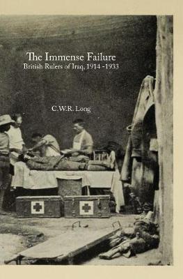 Book cover for The Immense Failure