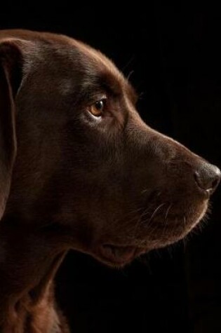 Cover of Brown Labrador Retriever Notebook