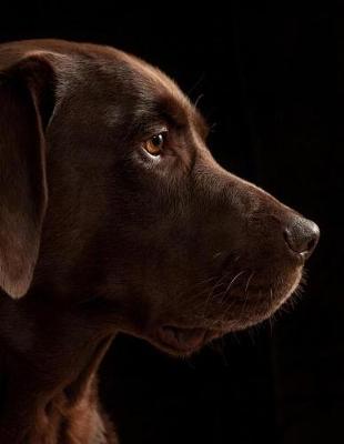 Book cover for Brown Labrador Retriever Notebook