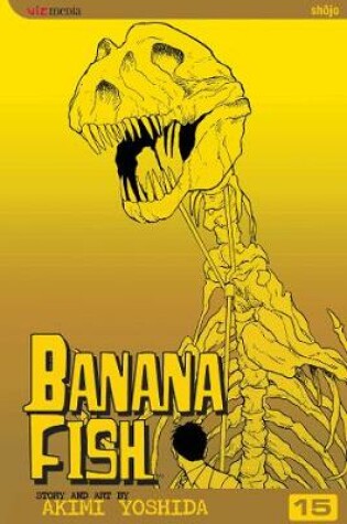 Cover of Banana Fish, Vol. 15