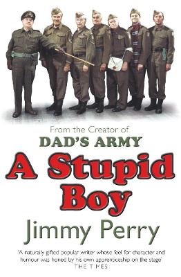 Book cover for A Stupid Boy