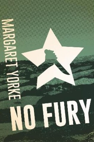 Cover of No Fury