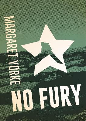 Book cover for No Fury