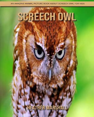 Book cover for Screech Owl