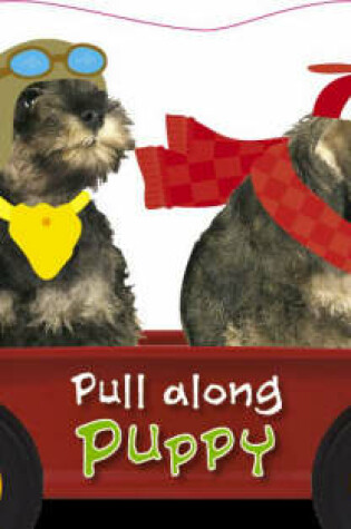 Cover of Pull Along Puppy