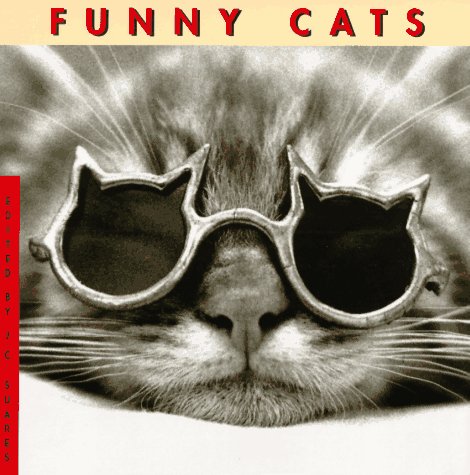 Book cover for Funny Cats