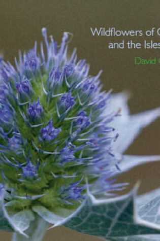 Cover of Wildflowers of Cornwall and the Isles of Scilly