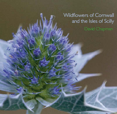 Cover of Wildflowers of Cornwall and the Isles of Scilly