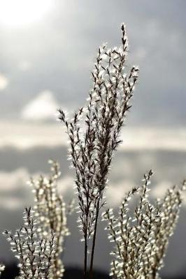 Book cover for Meadow Grass in Autumn Journal