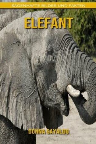 Cover of Elefant