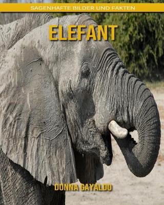 Book cover for Elefant