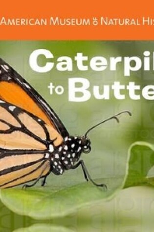 Cover of Caterpillar to Butterfly