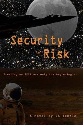 Book cover for Security Risk