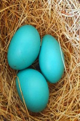 Cover of Journal Three Blue Robin Eggs Bird's Nest