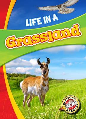 Book cover for Grassland