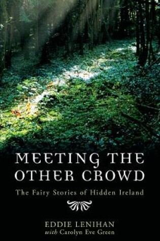 Cover of Meeting the Other Crowd