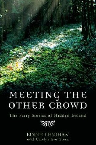 Cover of Meeting the Other Crowd