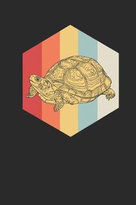 Book cover for Turtles Polygon