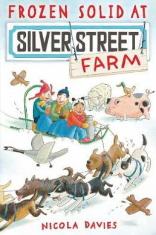 Cover of Frozen Solid at Silver Street Farm