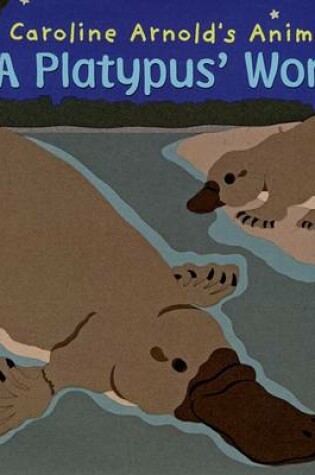 Cover of A Platypus' World
