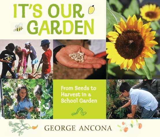 Book cover for It's Our Garden