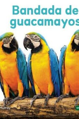 Cover of Bandada de Guacamayos (Macaw Flock)