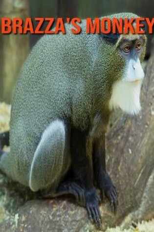 Cover of Brazza's Monkey