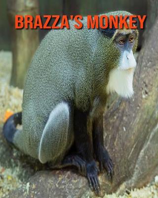 Book cover for Brazza's Monkey