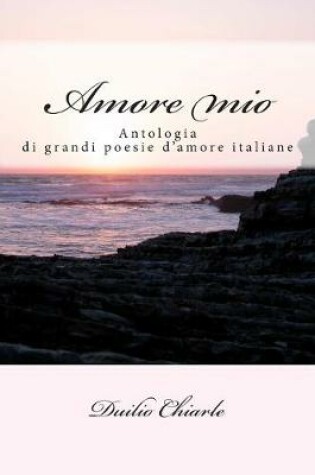 Cover of Amore mio